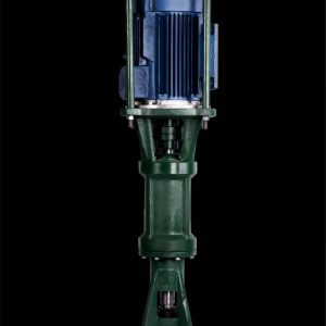 2 inch vertical pump